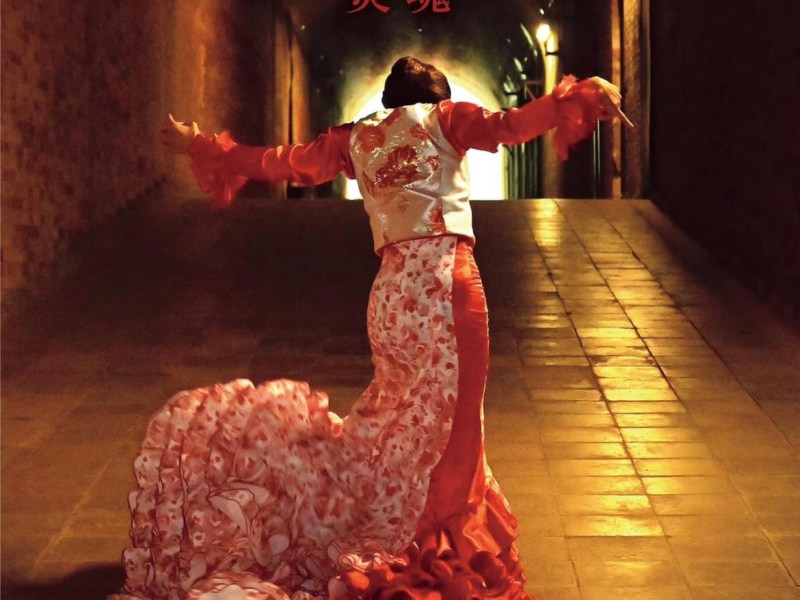 FUEGO DE MI ALMA&nbsp;ー炎魂ー